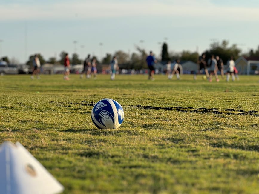 A soccer ball on grass with players practicing in a sunny outdoor field.